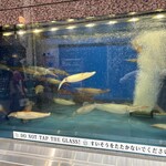 せいもん払い - 