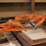 うを徳 - 松葉蟹