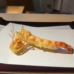 天冨良 銀座 よこ田 - 