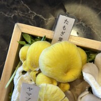 シャングリラズシークレット 銀座店 - 