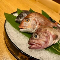泉岳寺門前 紋屋 - 