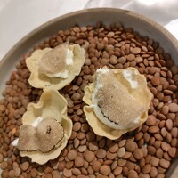 ヴォーロ・コズィ - 