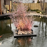 鉄板・懐石 くら馬 - 