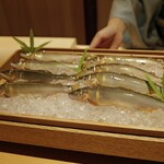 橦木町 しみず - 岐阜県産和良川天然鮎