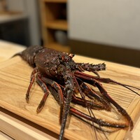 日本料理 みや  - 