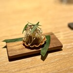 マンサルヴァ - 