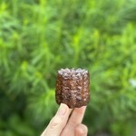 バックハウス インノ 八ヶ岳店 - 