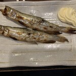 大衆居酒屋魚さんこ - ししゃも（オス）