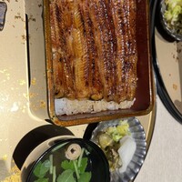 うなぎ 目白ぞろ芽 - 