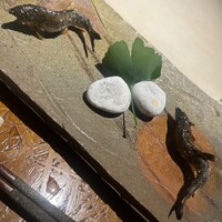 たけ花 - 