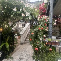 表参道バンブー - 