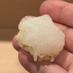 登喜和鮨 - 佐渡産 泥障烏賊