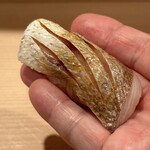 登喜和鮨 - 佐渡産 血鯛