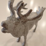 トーコーキッチン - 鹿