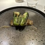 ヤマガタ サンダンデロ - 