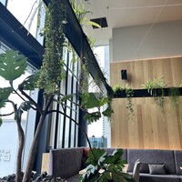 横浜焼肉kintan - 