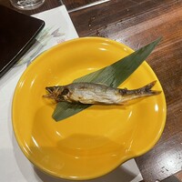 柳家錦 - 