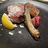 ダルマット 六本木ヒルズ店 - 