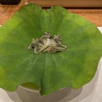 天婦羅 みやしろ - 先付け　じゅんさい