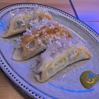 STEAMAN - 