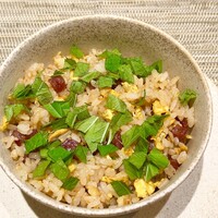 中国料理 礼華 四君子草 - 