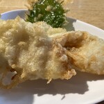 うどん屋 椀白 - 