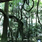 奈良・春日奥山 月日亭 - 