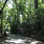 奈良・春日奥山 月日亭 - 帰り道