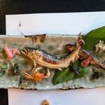 郷土料理ともん - 秋川産。こちらの方が下顎が発達していて自然暮らしが長いのかなと考えてましたが、上顎が短いとも言えますね。それでも下顎は発達していると思います