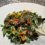 アルギュロス - 