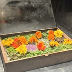 アルギュロス - 