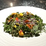 アルギュロス - 