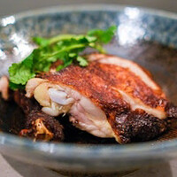 CINA New Modern Chinese - 