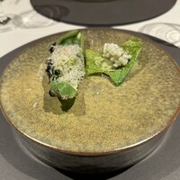 ニシデリア - 