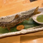 炭火割烹とも - 狩野川産 活鮎 塩焼き(先ほどまで飛び跳ねてました)