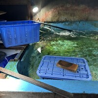 磯ぎよし 天神店 - 