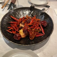 CINA New Modern Chinese - 