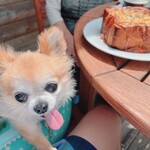 ジロー珈琲 - テラス席は3テーブルあります