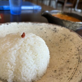 R食堂 IWATA CURRY_0