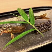 山玄茶 - 