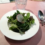 シェガーノ - フレッシュグリーンサラダ♪
