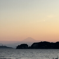 THE HARBOR TERRACE Restaurant - 