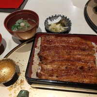 うなぎ 目白ぞろ芽 - 