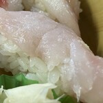 寿司一代 - 『おまかせ生寿司』