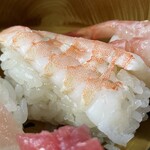 寿司一代 - 『おまかせ生寿司』