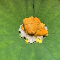 蓮 三四七 - 