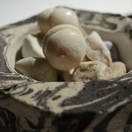 ラ・ヴァガボンド - 