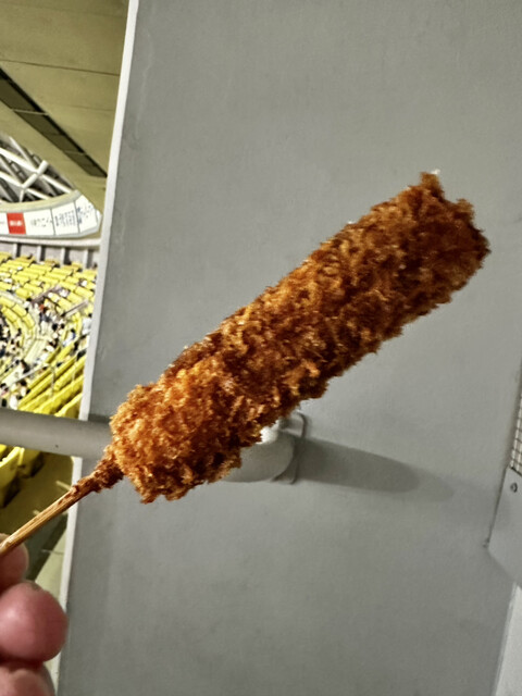 Tonkatsu no Matsuzono Daiko Yokocho photo 2