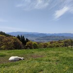 ヴィラデスト ガーデンファーム アンド ワイナリー - 