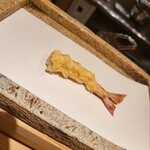 251718502 - 